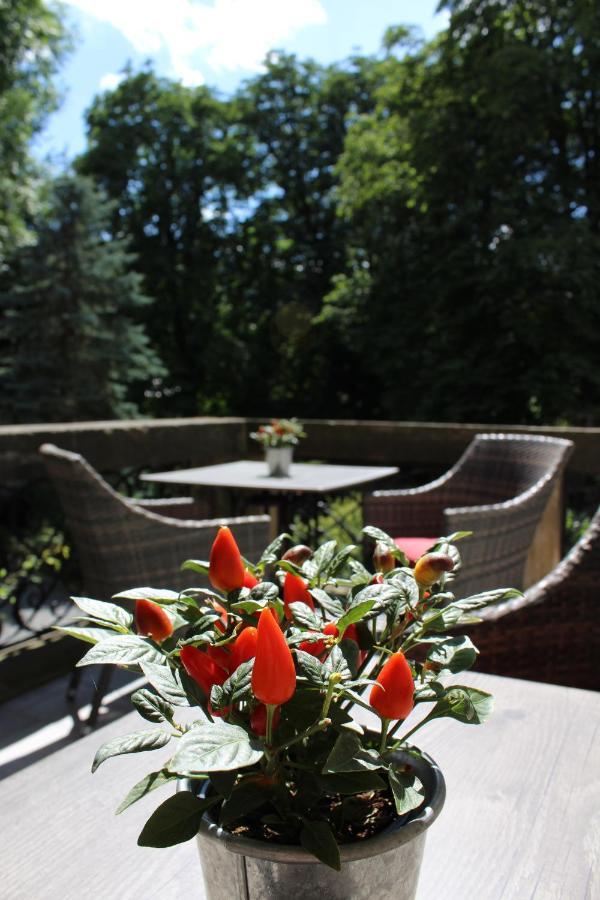 Schlosshotel Stecklenberg Тале Екстериор снимка
