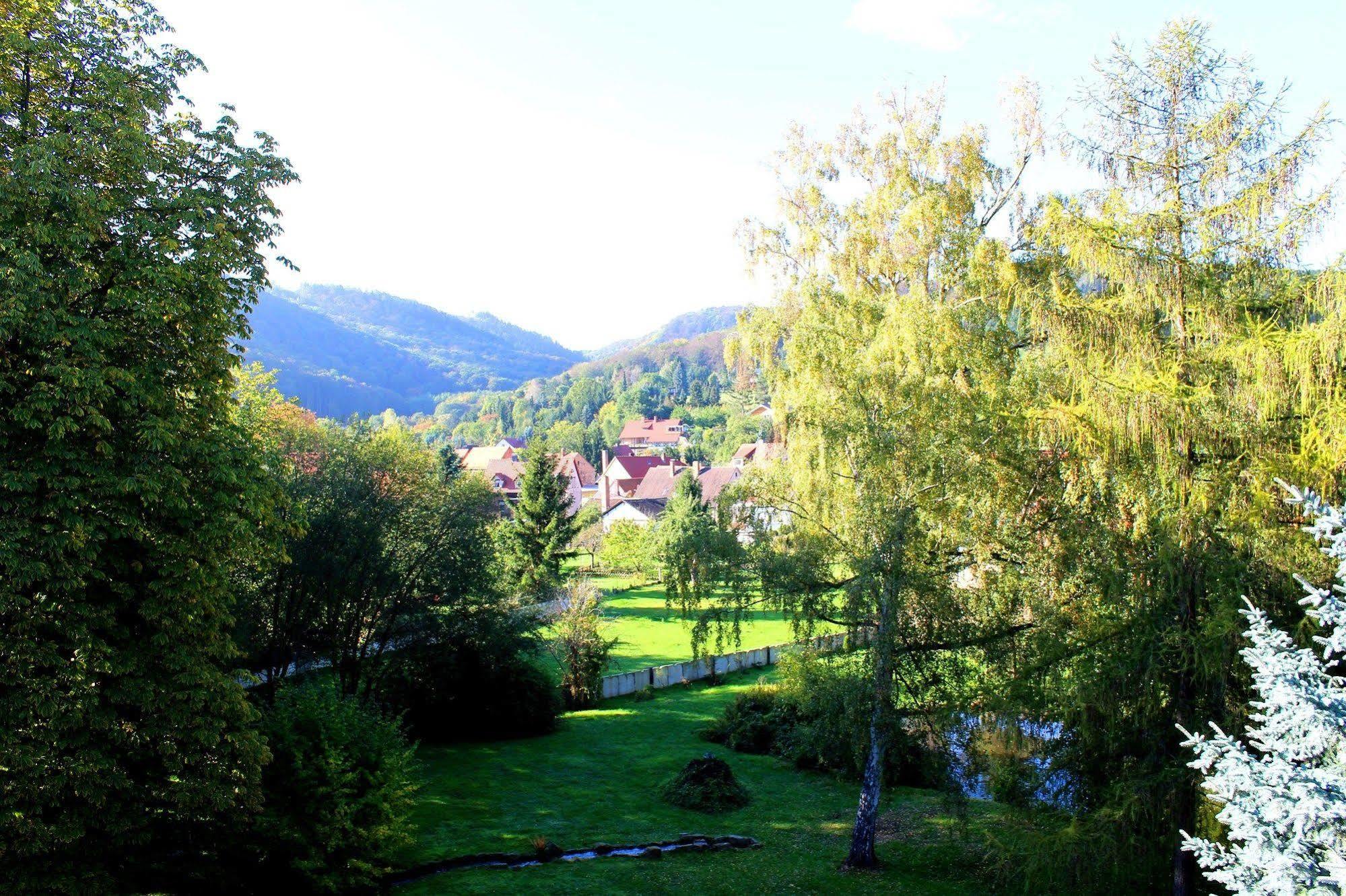 Schlosshotel Stecklenberg Тале Екстериор снимка